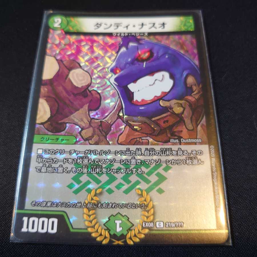 ダンディ・ナスオ C-foil