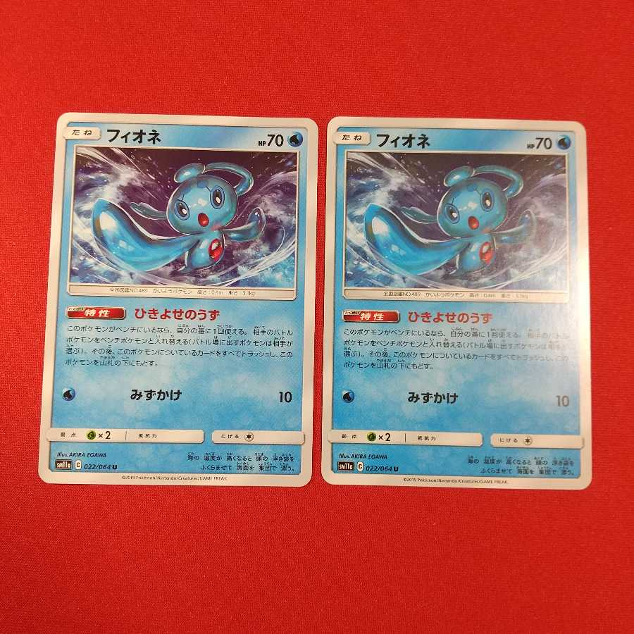 フィオネ U 2枚セット ひきよせのうず