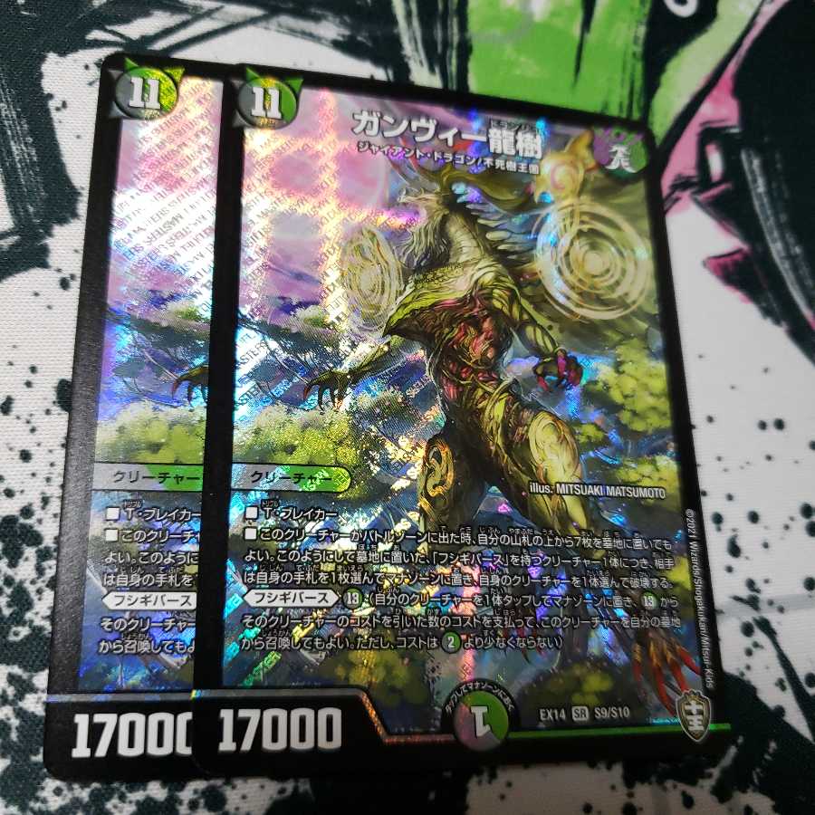 ガンヴィー龍樹