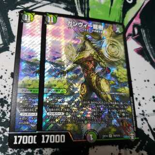 ガンヴィー龍樹