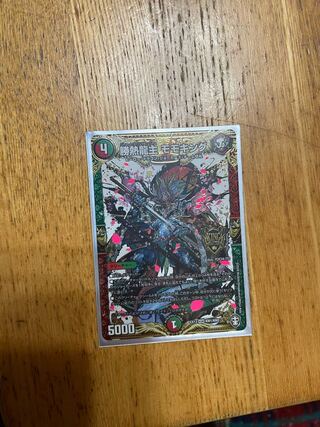 勝熱龍主 モモキング