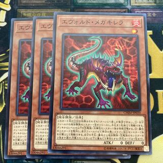 マドレース784エヴォルド・メガキレラ ノーマル