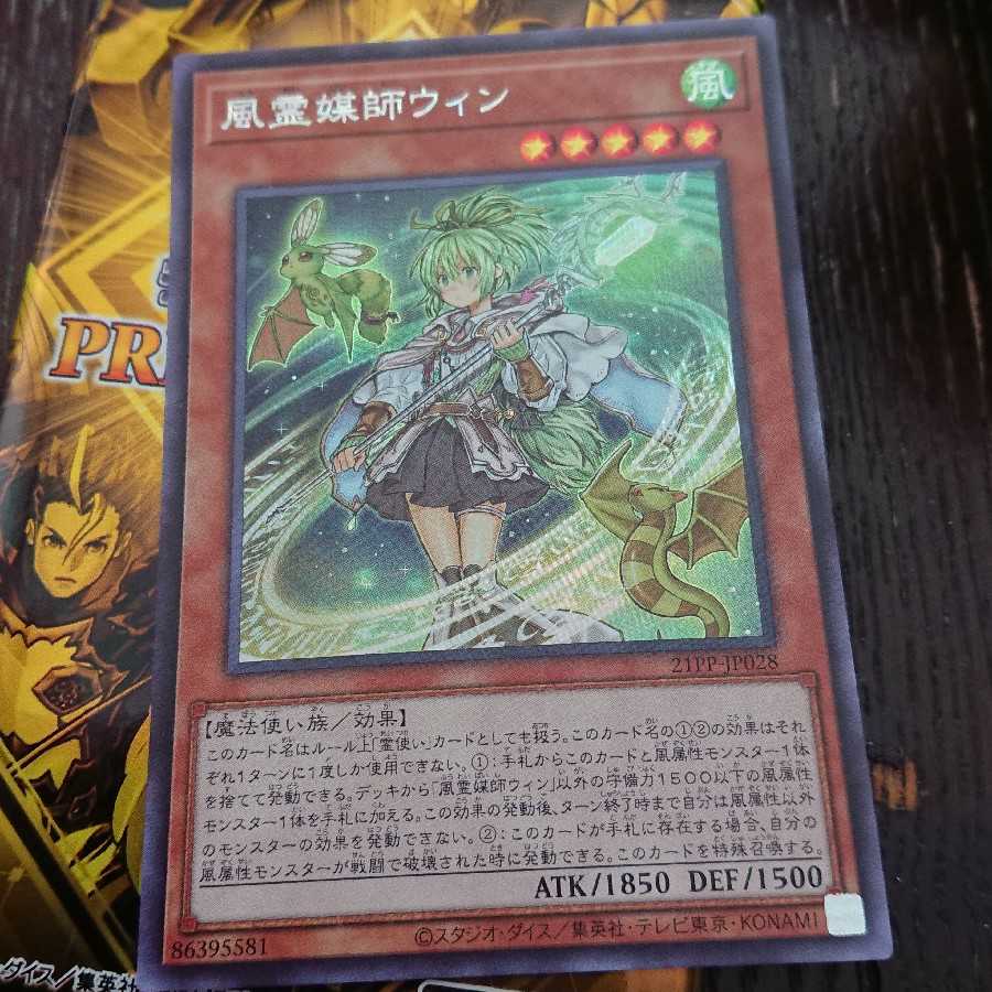 Wynn the Wind Channeler Secret Rare