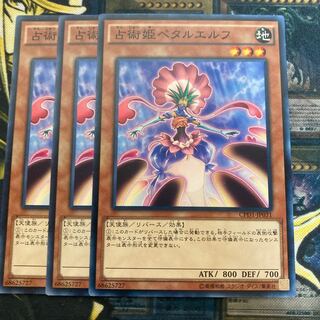 Madrace 802Prediction Princess Petalelf Normal
