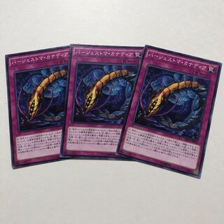 バージェストマ・カナディア ノーマル