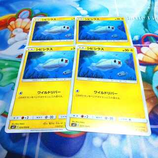 シビシラス 4枚セット ミラクルツイン ワイルドリバー