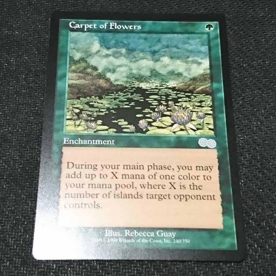 花の絨毯/Carpet of Flowers MB1英語