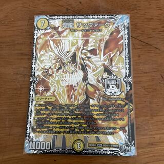 煌龍 サッヴァーク