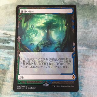 霧深い雨林　※状態悪