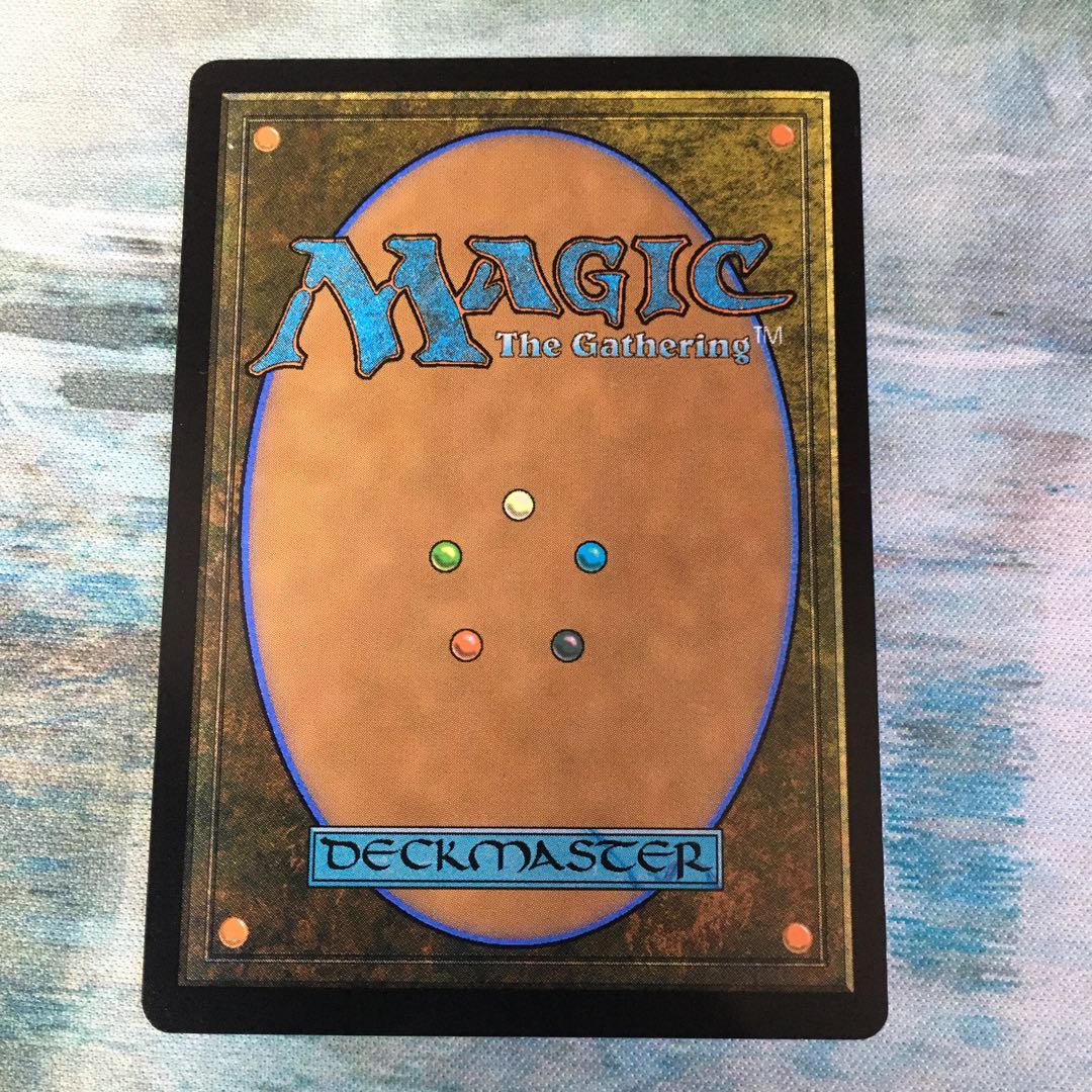 霧深い雨林　※状態悪