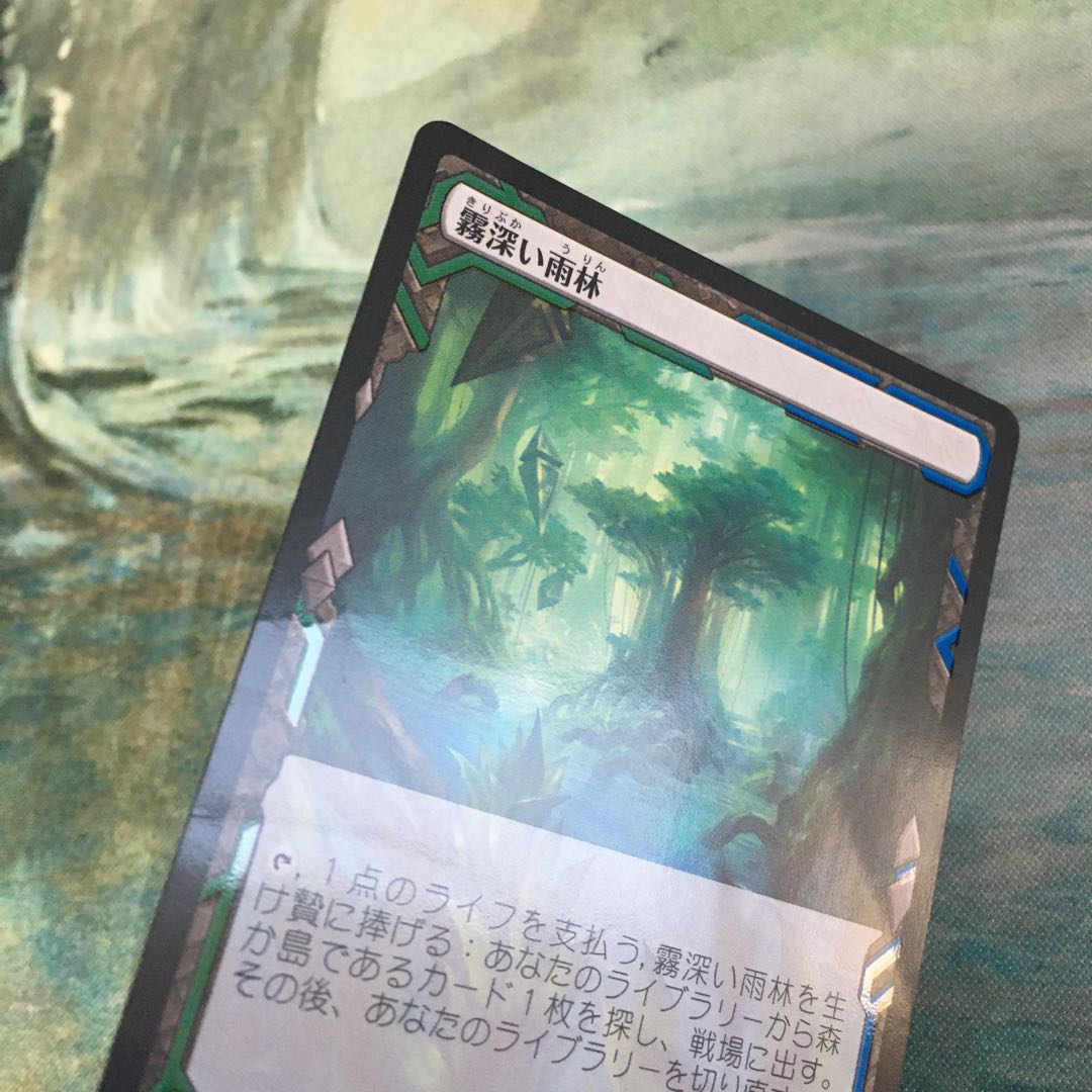 霧深い雨林　※状態悪