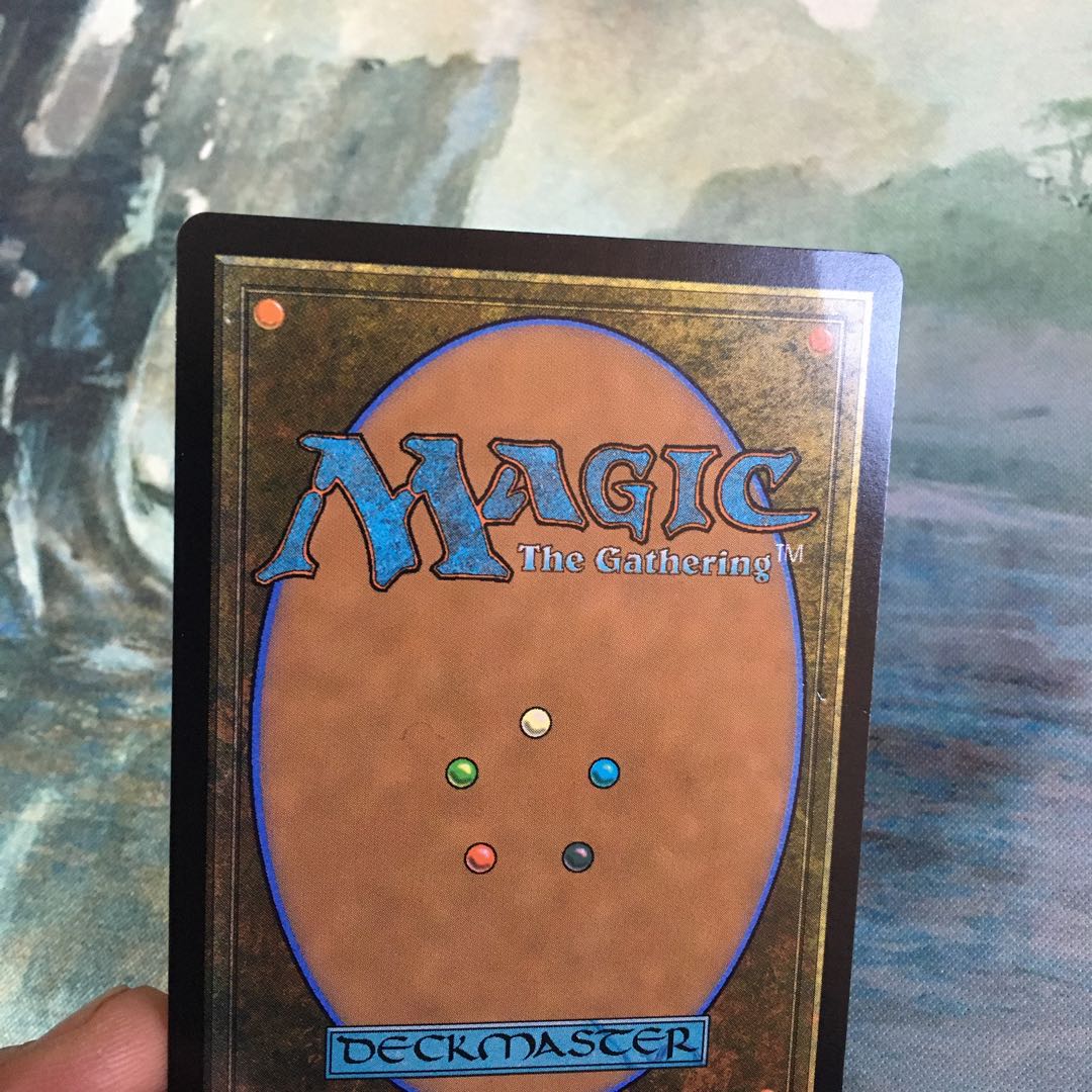 霧深い雨林　※状態悪