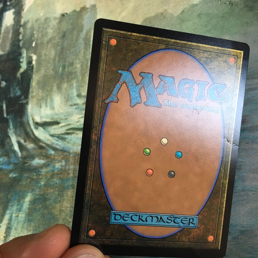 霧深い雨林　※状態悪