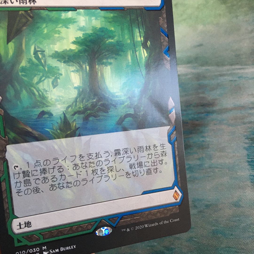 霧深い雨林　※状態悪