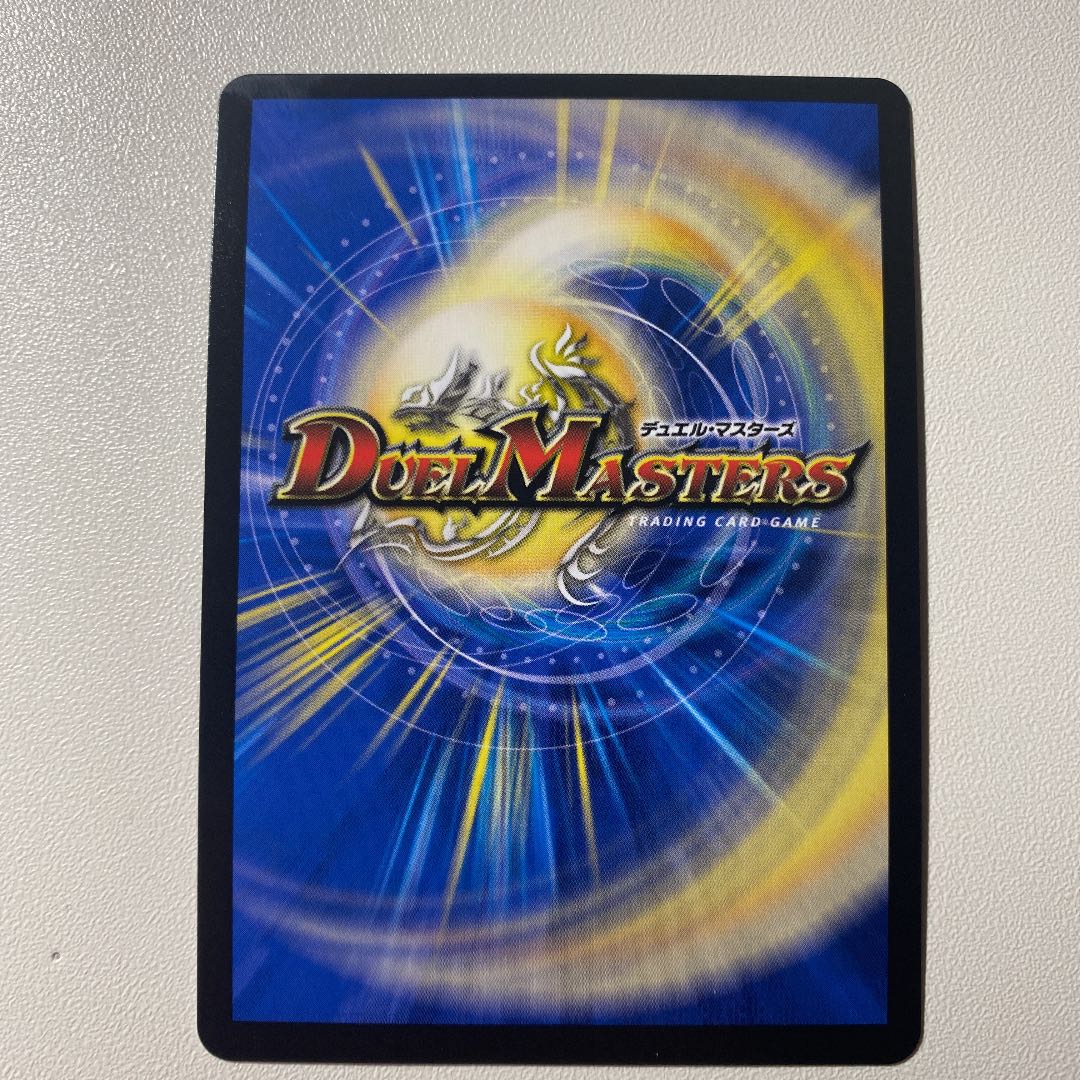 「絶対の楯騎士」