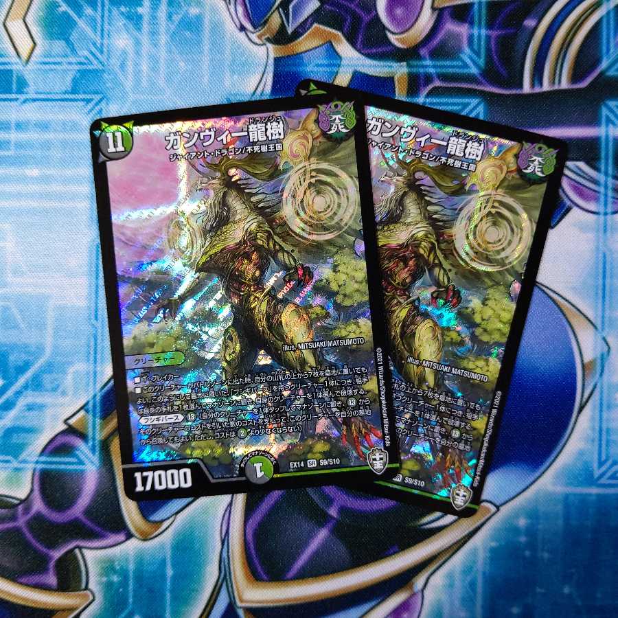 ガンヴィー龍樹 ２枚セット