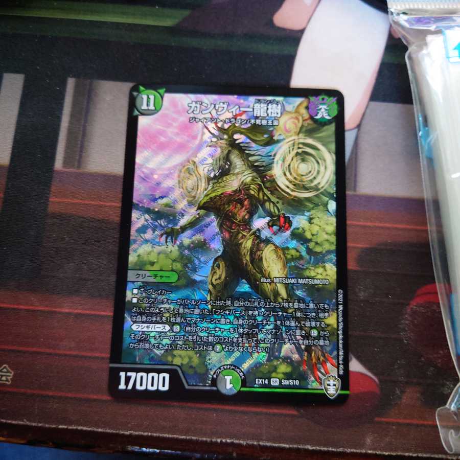 ガンヴィー龍樹