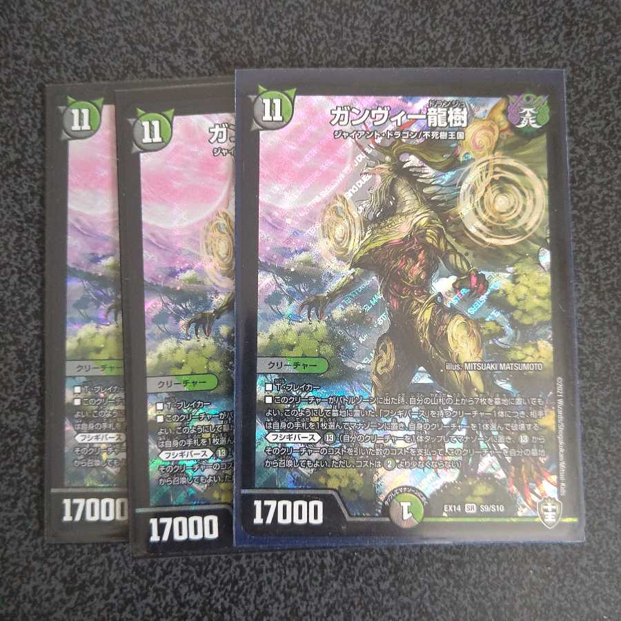 ガンヴィー龍樹