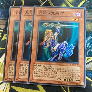 マドレース869見習い魔術師 ノーマル