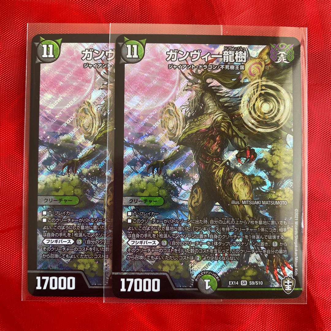 ガンヴィー龍樹