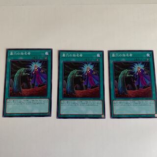 墓穴の指名者 ノーマル　3枚