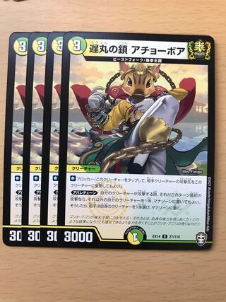 遅丸の鎖アチョーボア