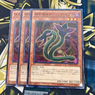 Mad Race 889Predaplant Darlingtonia Cobra Normal