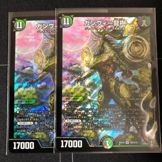 ガンヴィー龍樹