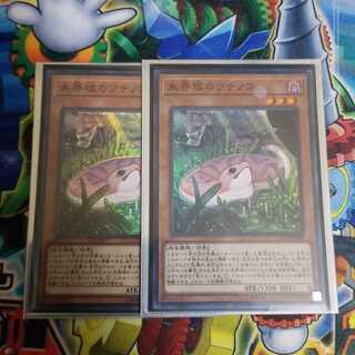 遊戯王　未界域のツチノコ×2