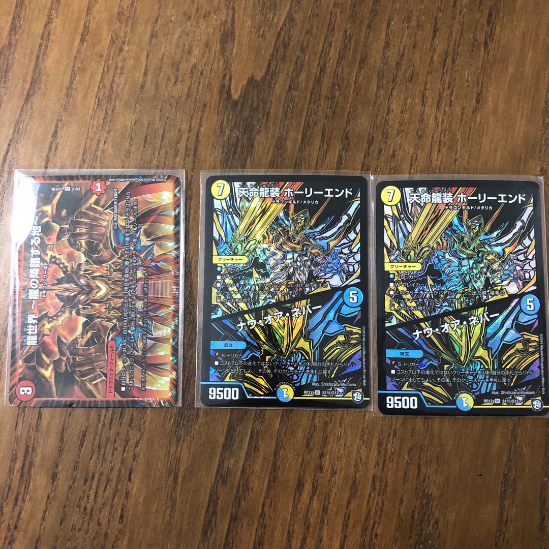 天命龍装 ホーリーエンド/ナウ・オア・ネバー おまけ付き