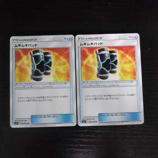 d348 Buff Padding Set of 2 Pokémon Trekkies