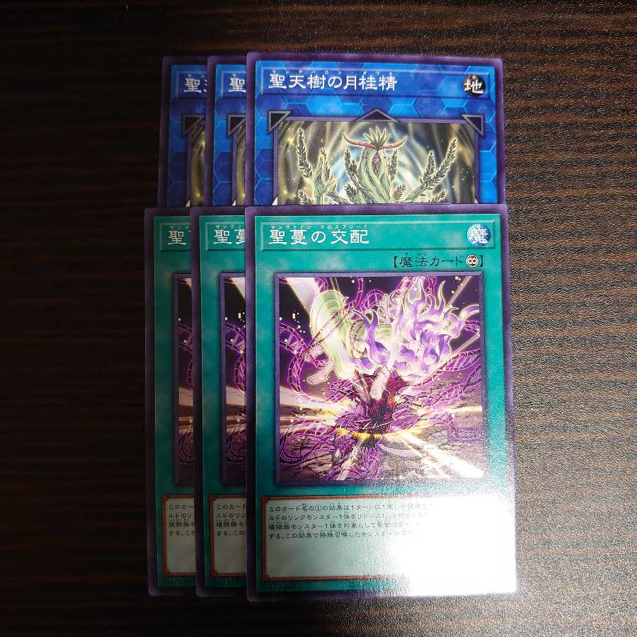 3 Sunavalon Daphne Normal 3 Sunvine Cross Breed Normal 3