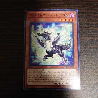 ホワイトローズドラゴン　ノーマル 1枚