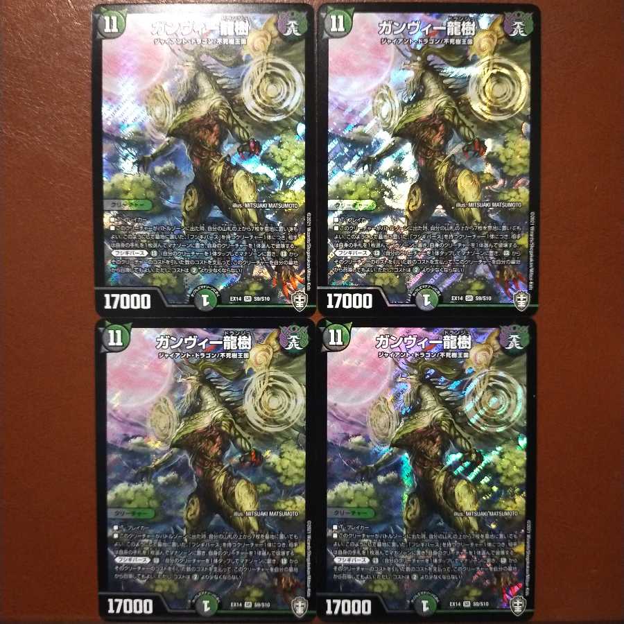 セット割引　ガンヴィー龍樹