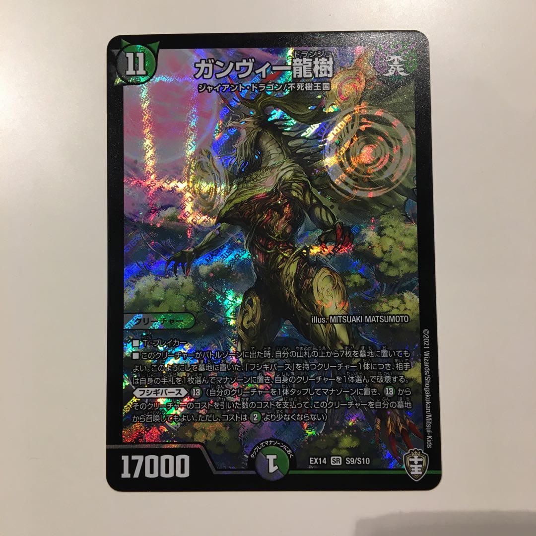 ガンヴィー龍樹