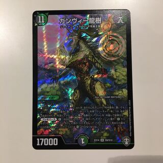 ガンヴィー龍樹