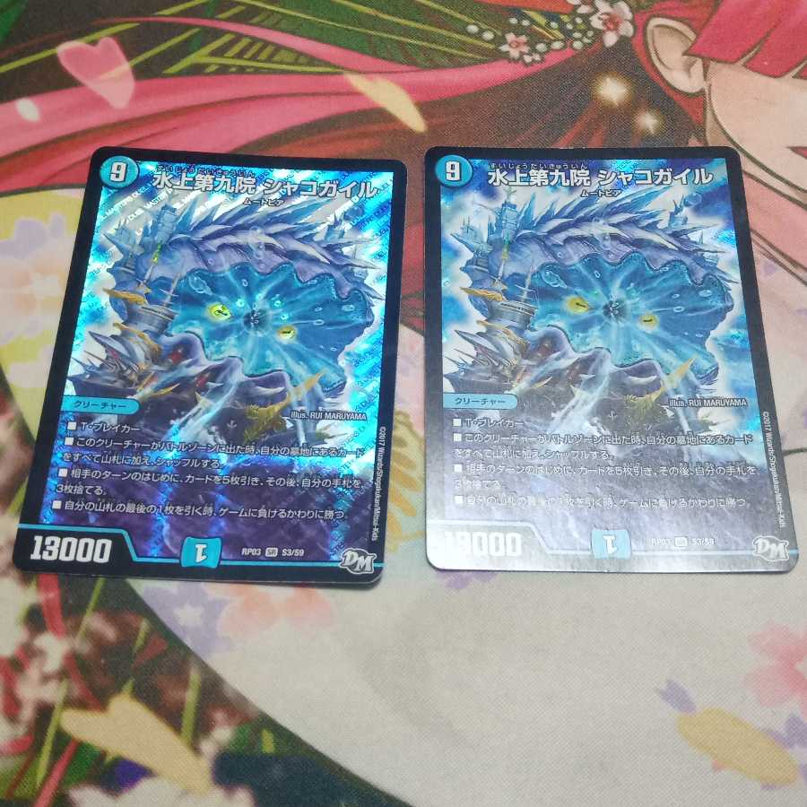 水上第九院 シャコガイル