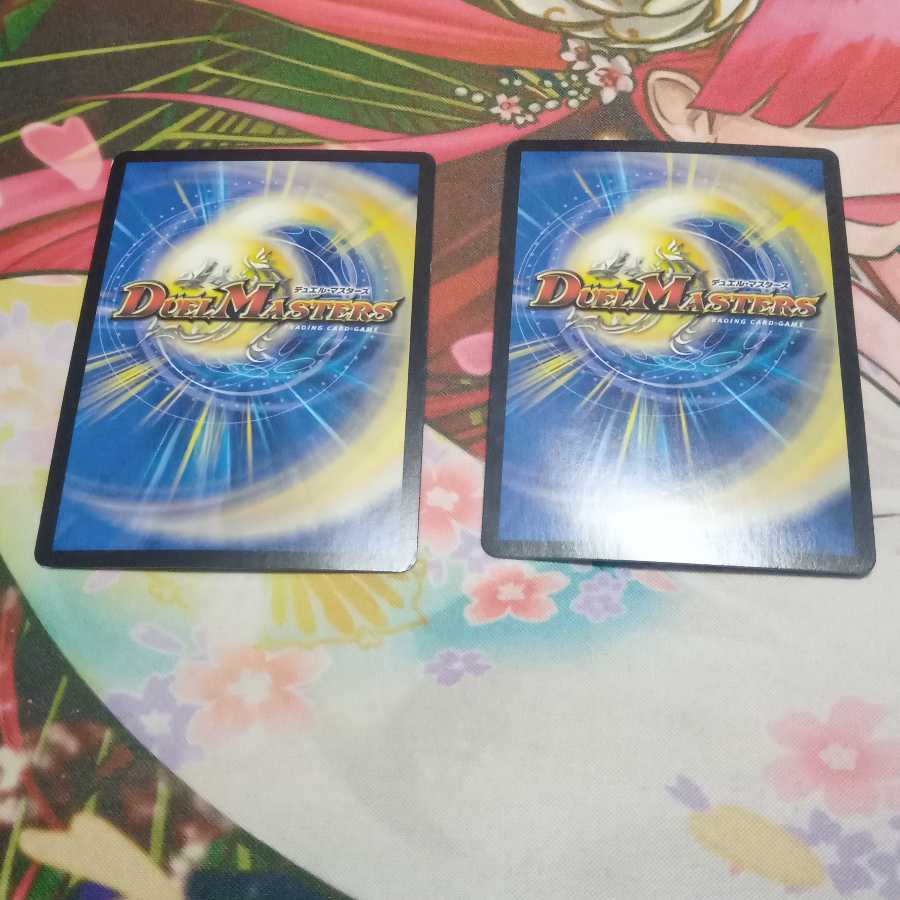 水上第九院 シャコガイル