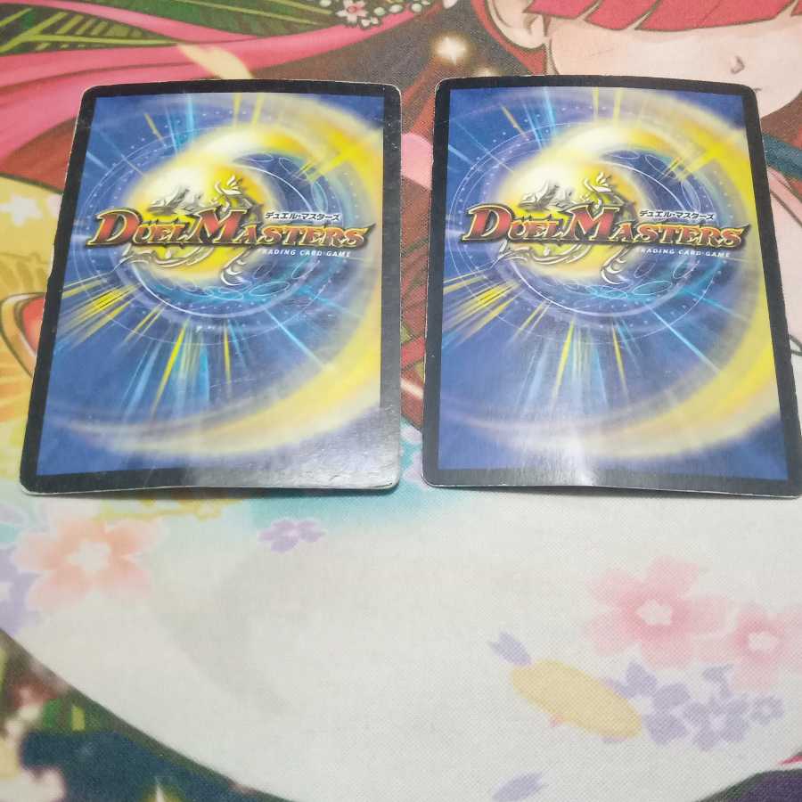 水上第九院 シャコガイル