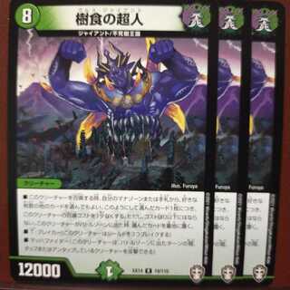 セット割引　樹食の超人