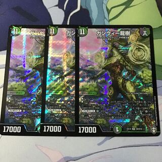 ガンヴィー龍樹3枚
