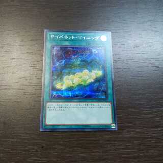 サイバネット・マイニング シークレットレア