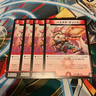 ハエタタ・チュリス　4枚