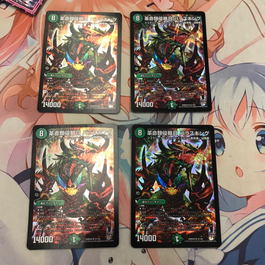 革命類侵略目 パラスキング