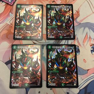 革命類侵略目 パラスキング