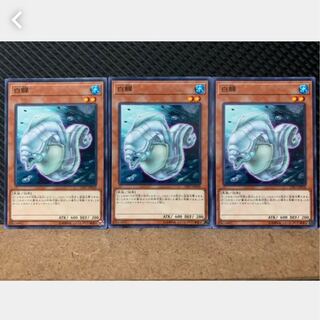 【ぽぽたん】遊戯王 3856 白鱓 3枚 ノーマル