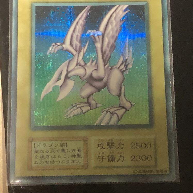 ホーリーナイトドラゴン  1枚