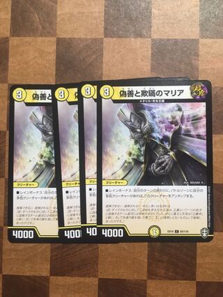 セット割引 偽善と欺瞞のマリア