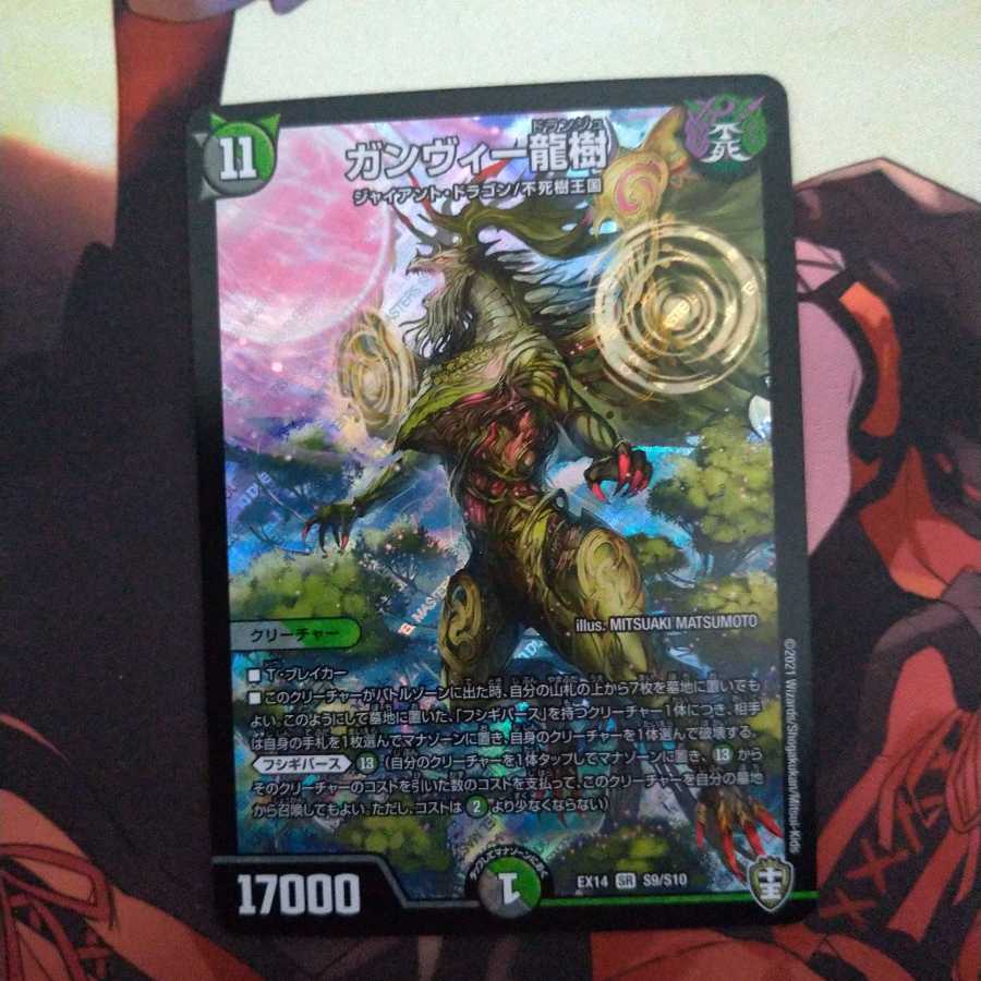 ガンヴィー龍樹