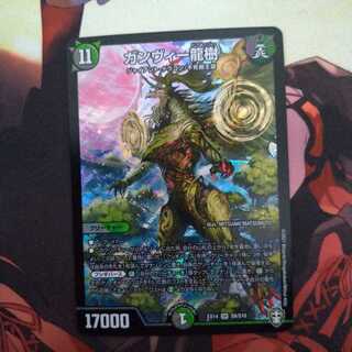 ガンヴィー龍樹